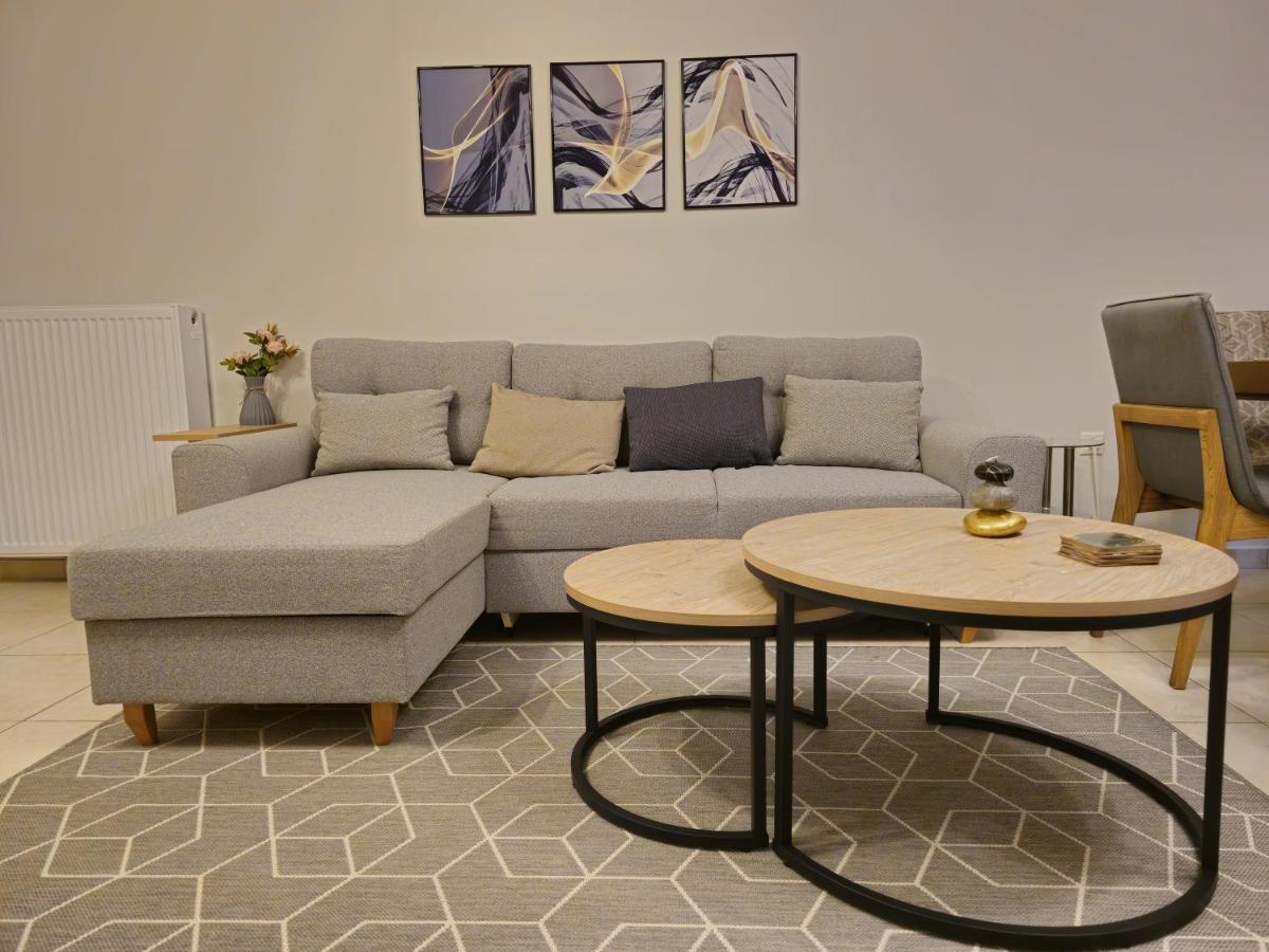Pilea Comfy * סלוניקי
