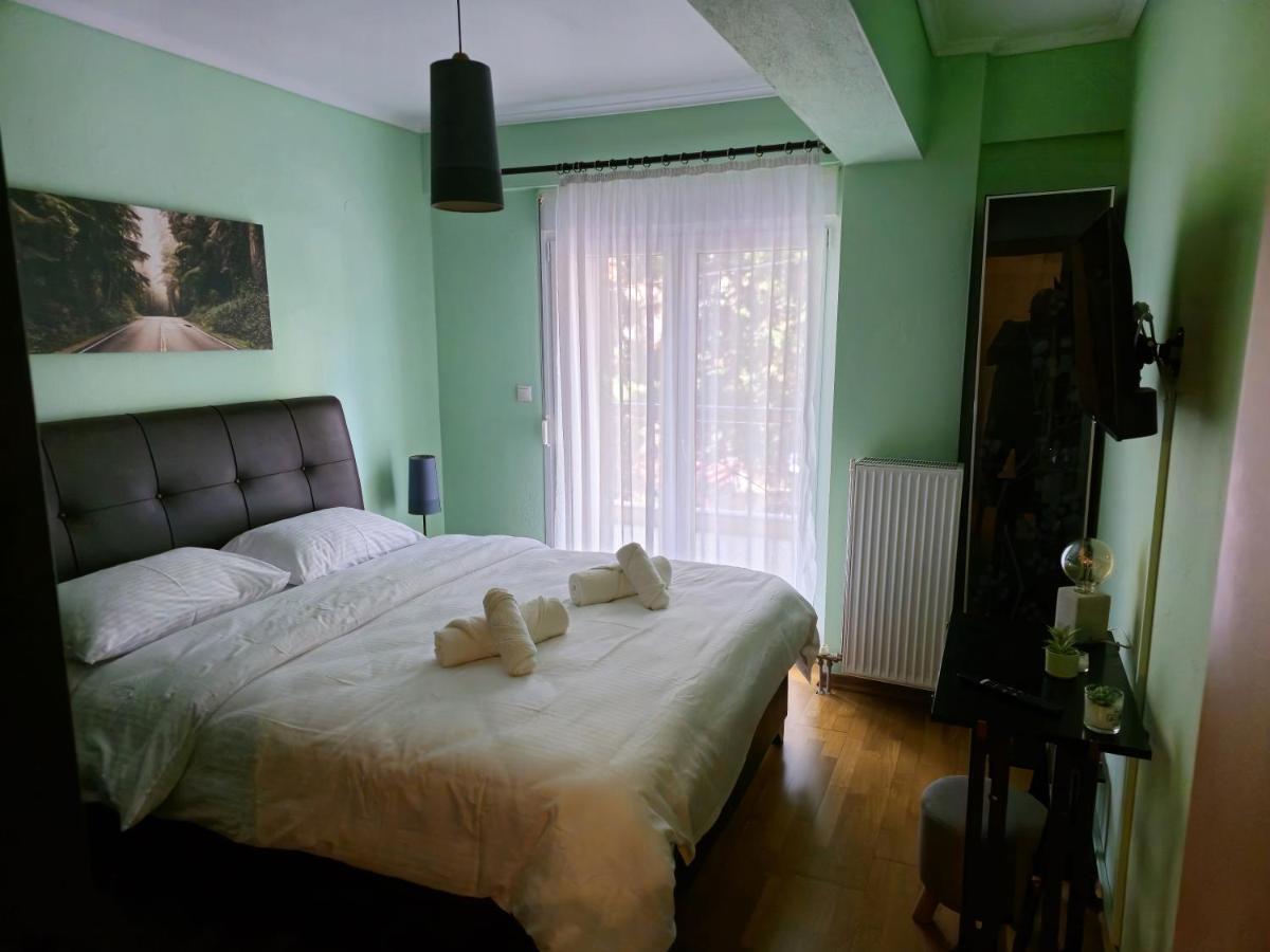 Pilea Comfy Apartment